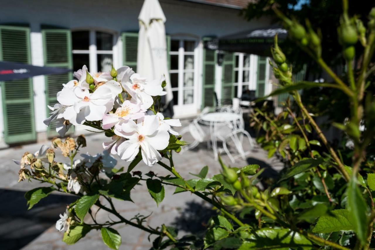 B&B El Tyu Écaussinnes-dʼEnghien エクステリア 写真